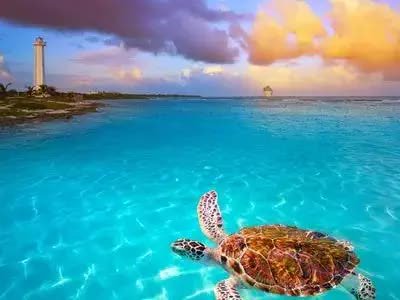 Vista panorámica de Akumal, Riviera Maya - destino ideal para su traslado privado