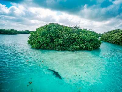 Vista panorámica de Boca Paila, Riviera Maya - destino ideal para su traslado privado