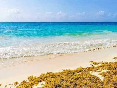Scenic view of Playa Mujeres, Riviera Maya - ideal destination for your private transfer
