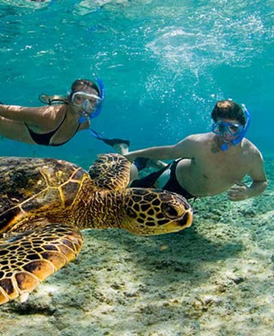 destinations/cancun.destination_image_alt