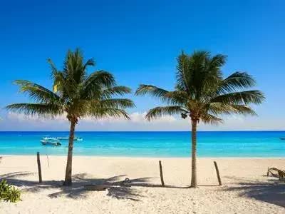 Transfer Puerto Aventuras