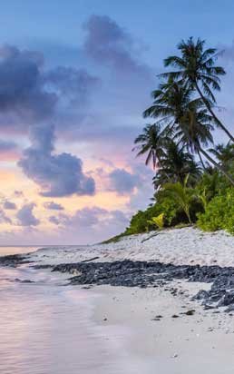 Transfer Playa del Carmen